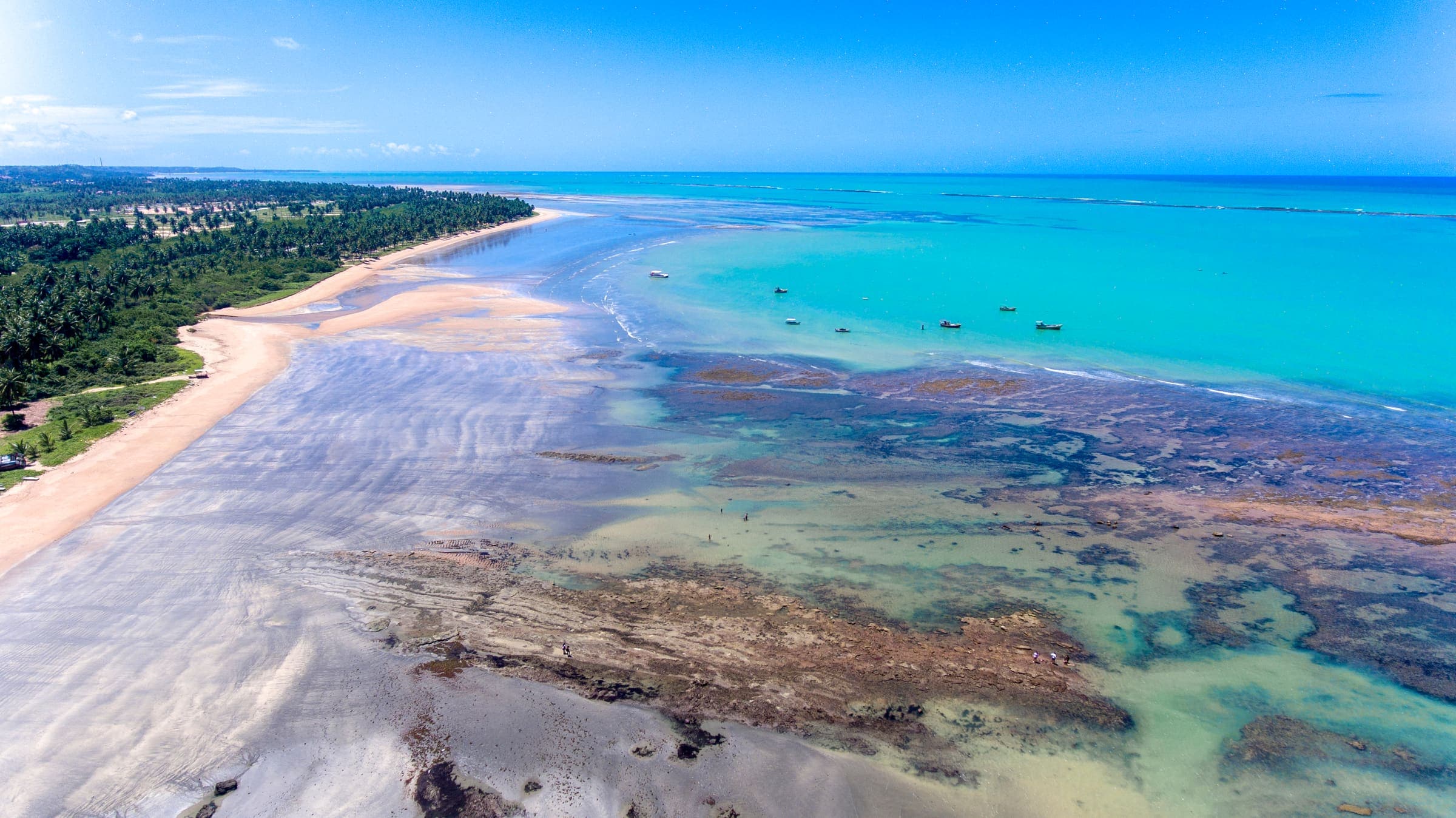 Litoral de Alagoas visto do alto